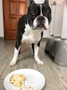 Peanut Butter Banana Cake for Dogs