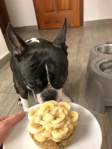 Peanut Butter Banana Cake for Dogs