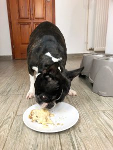 Peanut Butter Banana Cake for Dogs