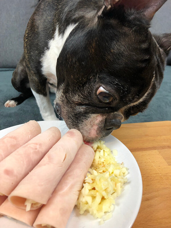 Apple and Cheese Ham Roll for Dogs