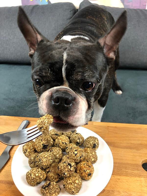 Blueberry & Banana Balls for Dogs