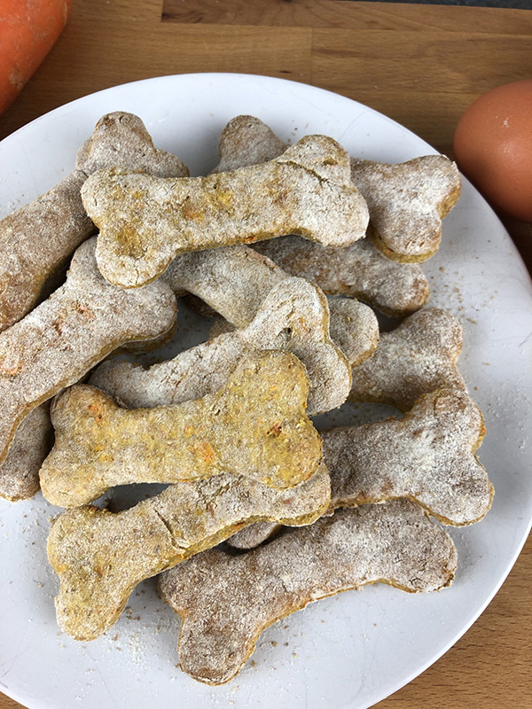 Quick Carrot Treats for Dogs