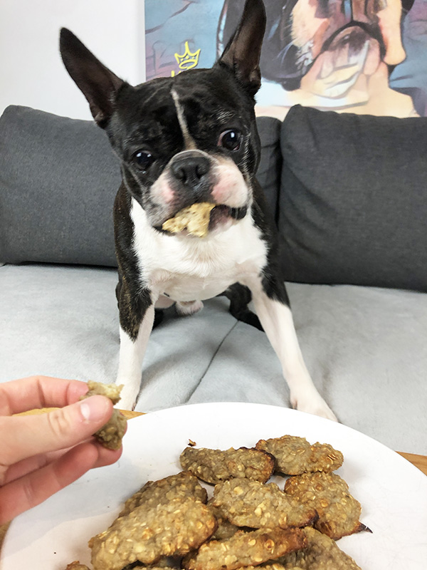 Banan & Peanut Butter Cookies for Dogs